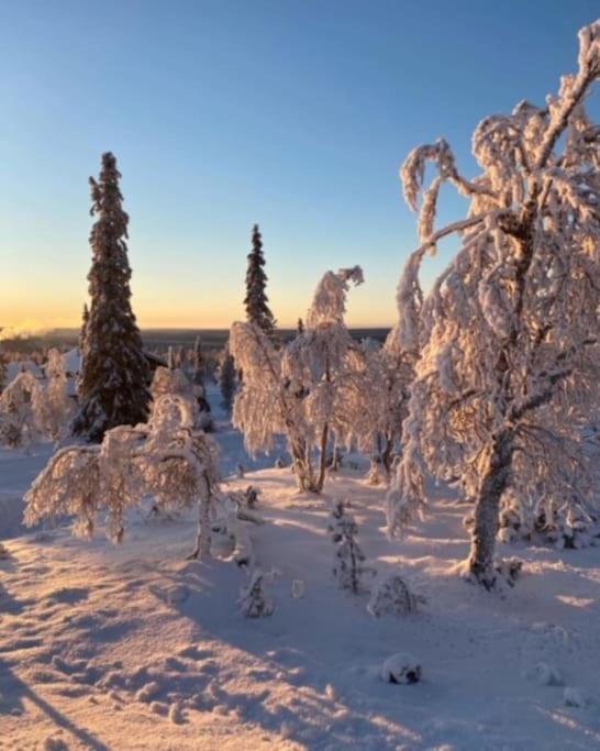 Seitapolku 12 Villa Saariselkä Exterior foto
